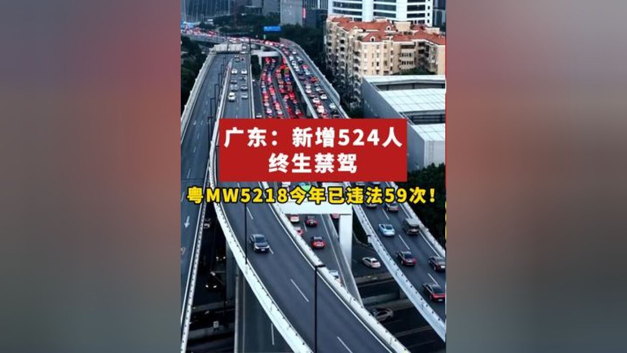 广东省道安办曝光一批今年以来交通违法次数较多的企业和车辆,以及终生禁驾人员名单和事故多发路段