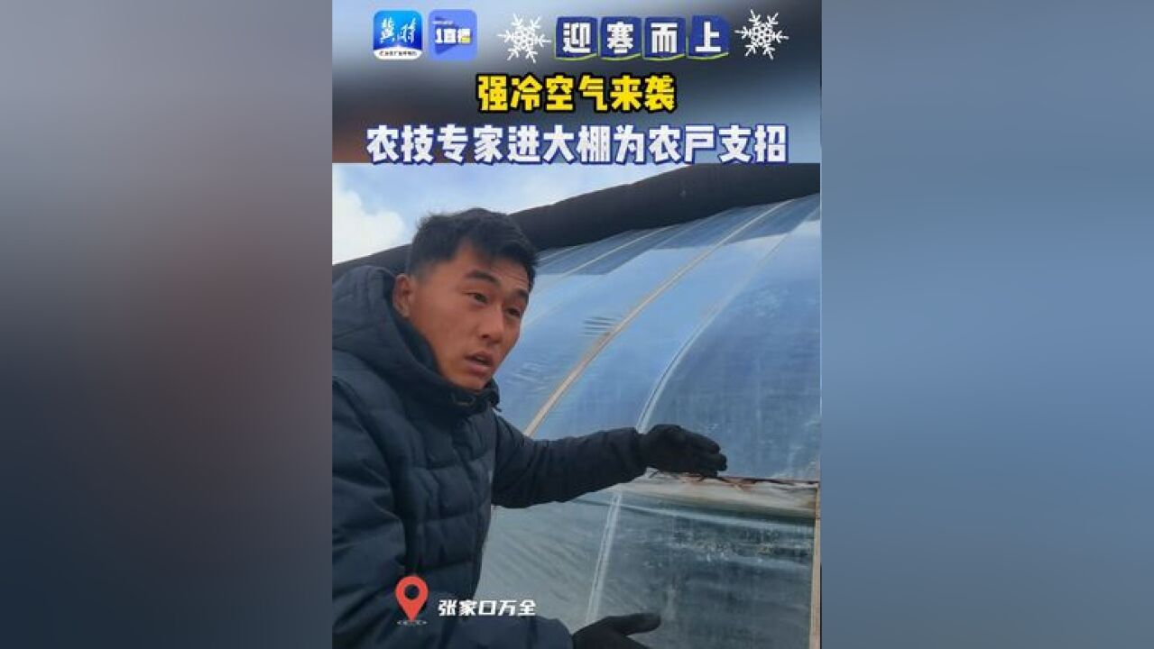 迎寒而上,强冷空气来袭,农技专家进大棚为农户支招