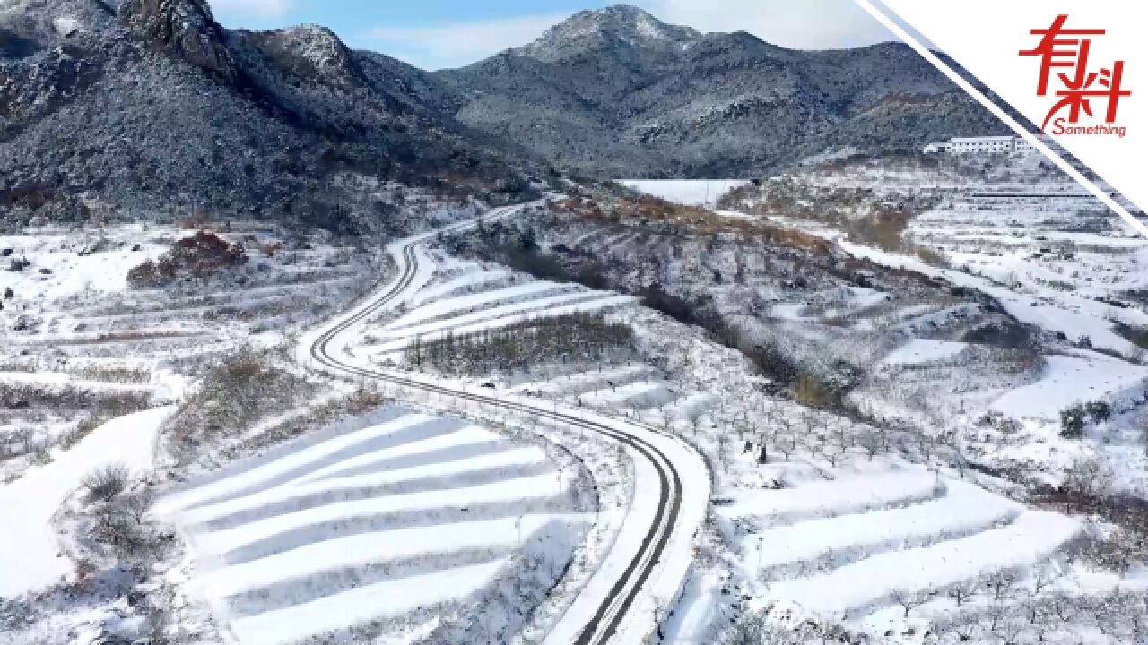 航拍记录雪后的威海乳山:宛如一片“林海雪原”