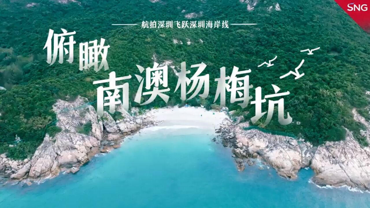 科创赋能 共享深蓝 | 俯瞰南澳杨梅坑