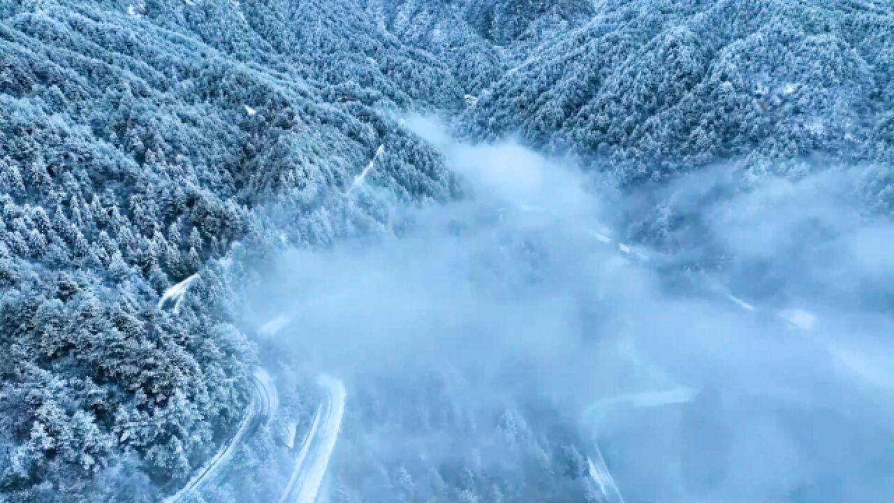 冰雪奇景!皖浙天路现云海雾凇景观