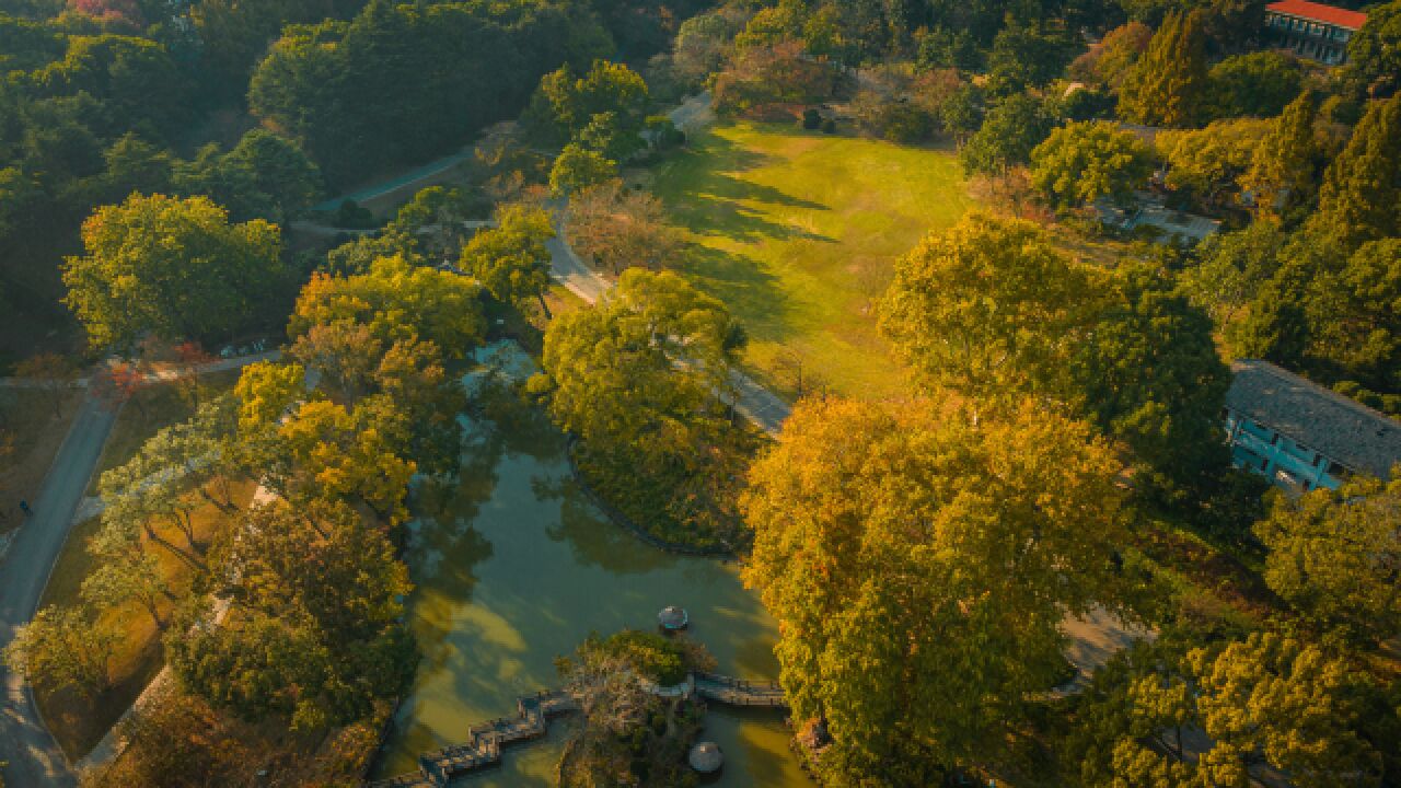 鼋头渚充山隐秀的秋天,看层林尽染