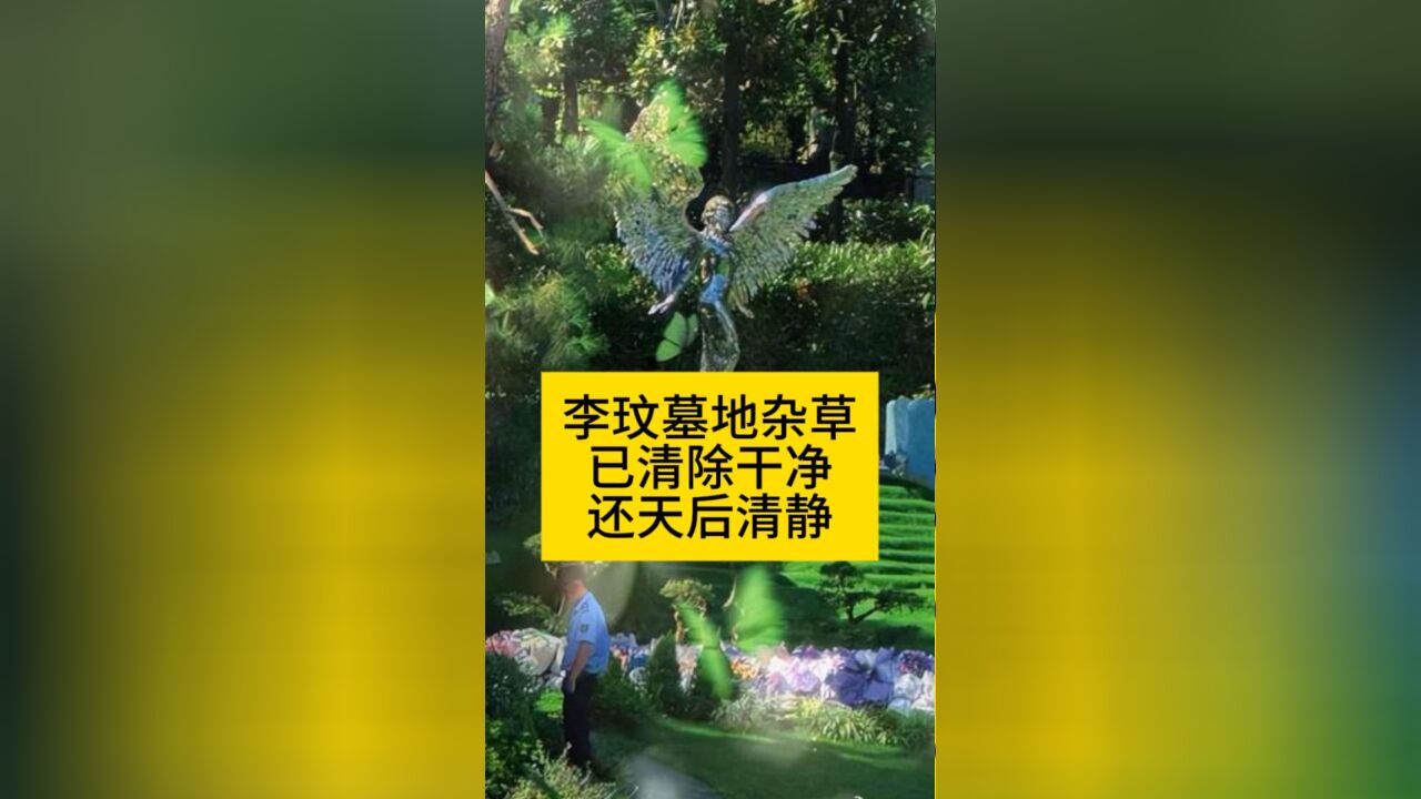 李玟墓地杂草已清除干净,还天后清静