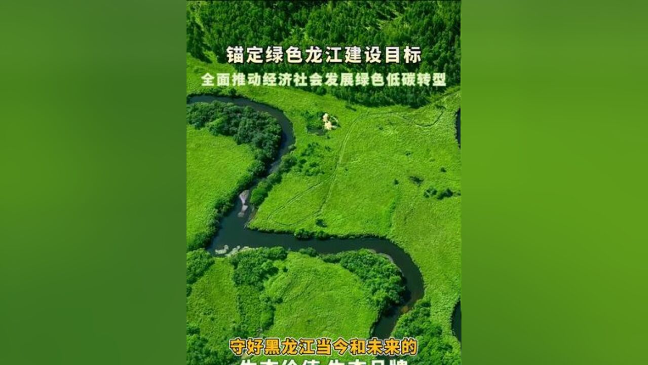 锚定绿色龙江建设目标 全面推动经济社会发展绿色低碳转型