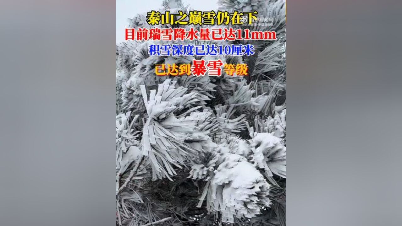 泰山下暴雪了,目前瑞雪降水量已达11mm,积雪深度已达10厘米,以达到暴雪等级