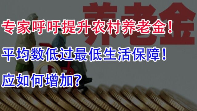 专家呼吁提升农村养老金,平均数低过最低生活保障,应如何增加?