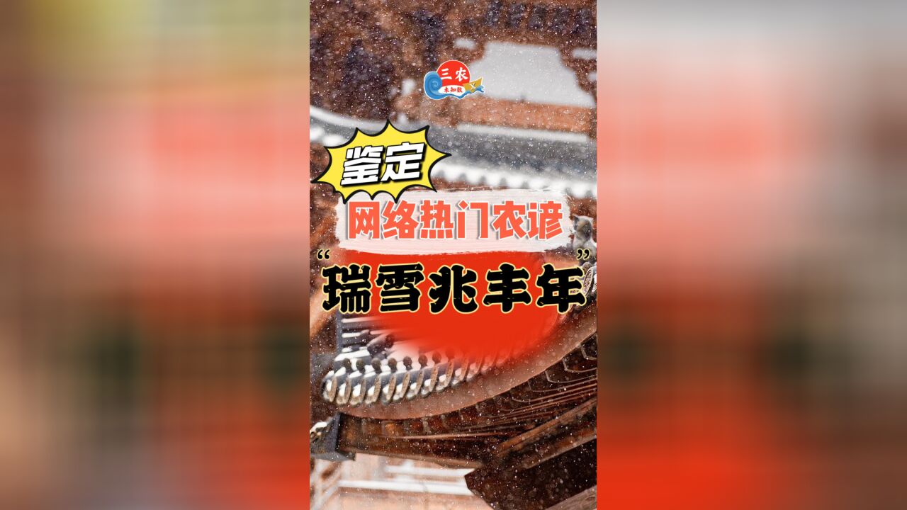 三农未知数丨鉴定网络热门农谚:“瑞雪兆丰年”