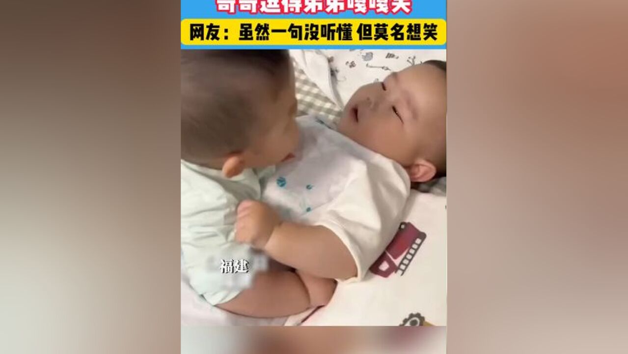 双胞胎兄弟用“婴语”交流,全程无障碍,虽然没有听懂一句,但莫名想笑