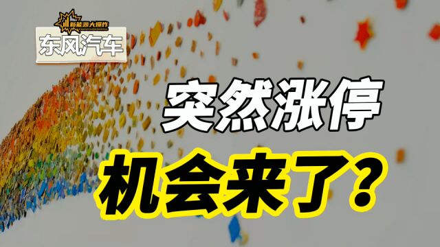 汽车大降价被抢筹,东风汽车突然涨停,汽车板块机会又要来了?