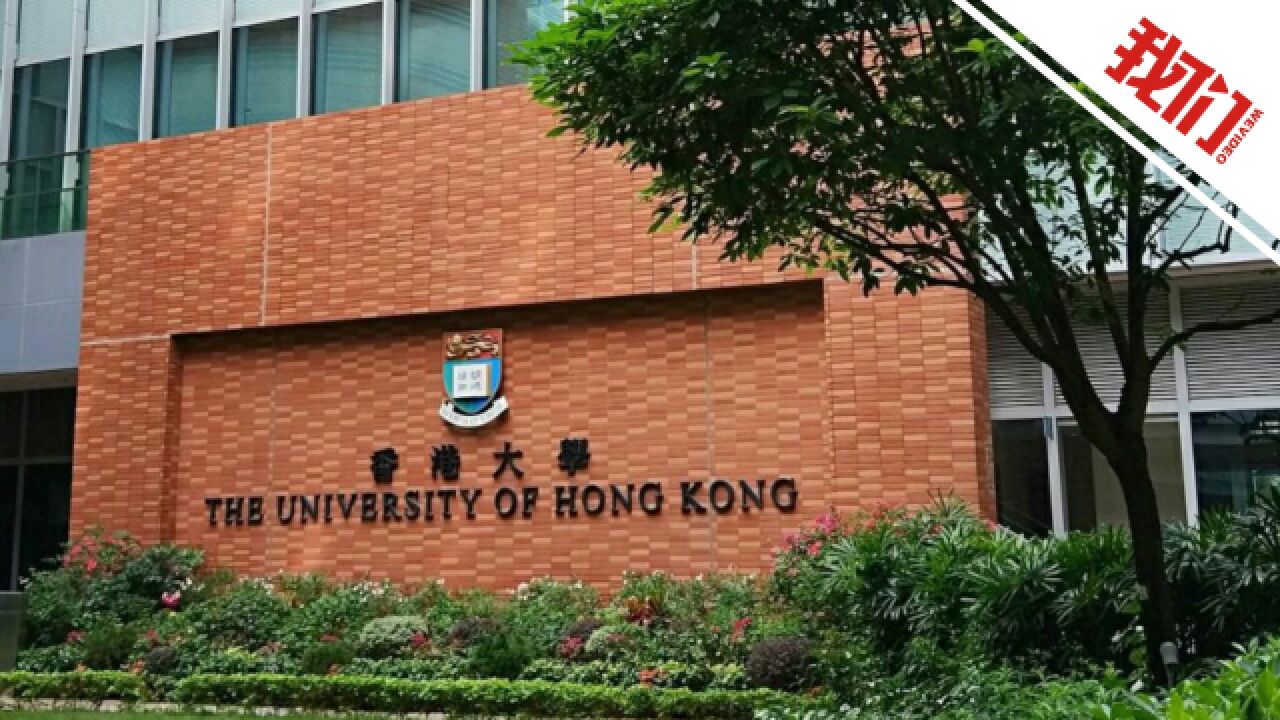 香港大学声明:在内地没有委托任何中介机构招生 无“内推”机制