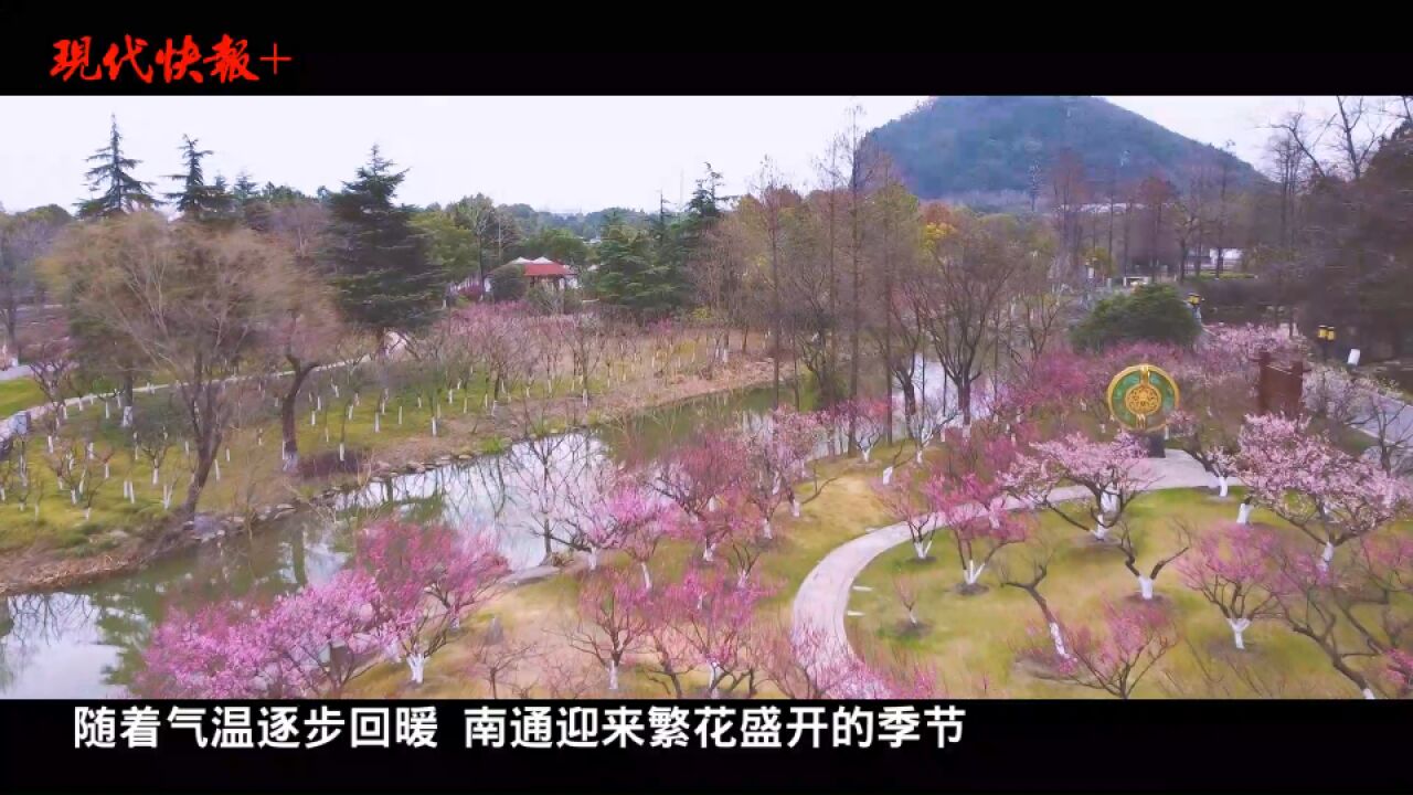 春花何时最绚烂?这份“赏花图鉴”请收好