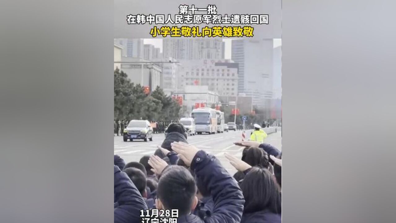 第十一批在韩中国人民志愿军烈士遗骸回国,小学生敬礼向英雄致敬,来源:中国青年报