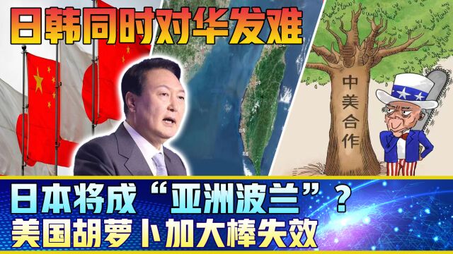 日韩对中国发难,日本成“亚洲波兰”?美国笑里藏刀,全世界厌恶