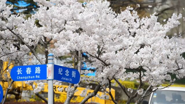 这么美惊住了!大连这个打卡地太少人知道