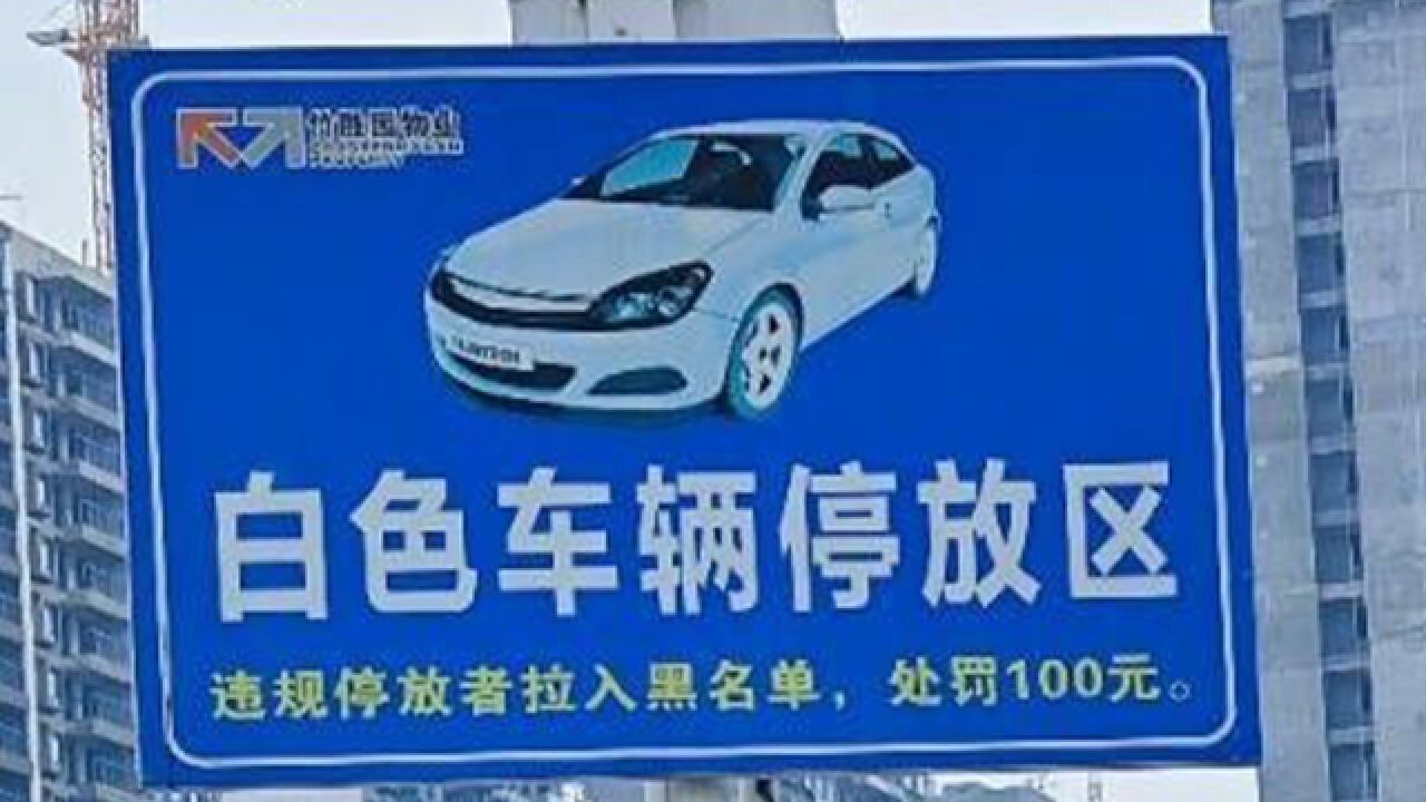 长沙一停车场规定按颜色分类停车,违停罚款100元:视觉效果好