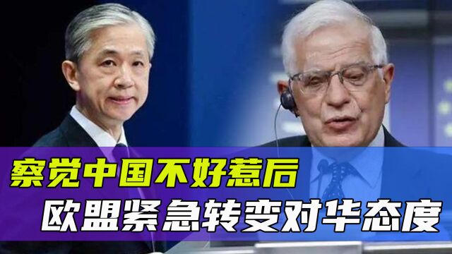 欧盟把5家中企从制裁名单上移除