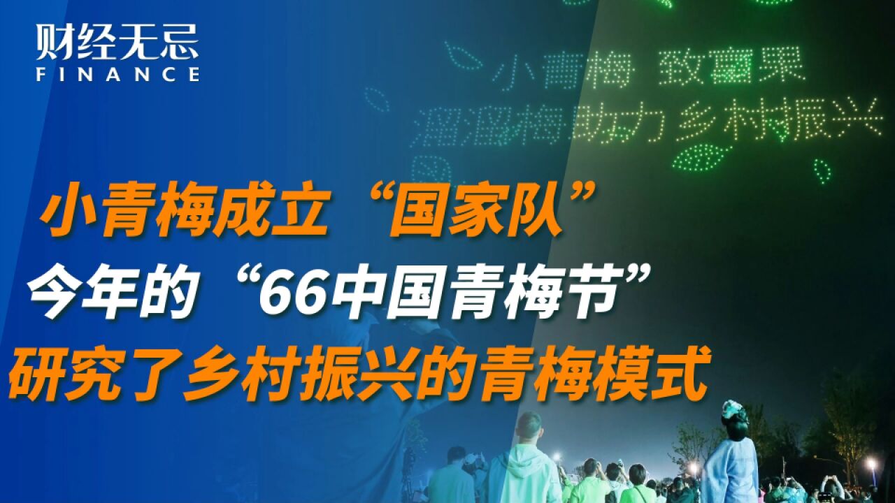 小青梅成立“国家队”,今年的“66中国青梅节”,研究了乡村振兴的青梅模式