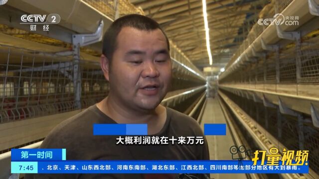 农业农村部:上半年全国肉鸡养殖总体保持盈利