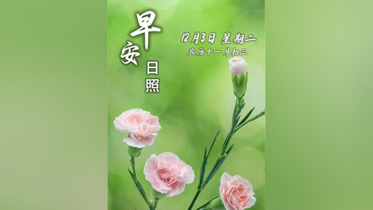 今天是12月3日,星期二,农历十一月初三,早安!晨曦微露,时光静好,新的一天,愿你心中有光,生活满是诗