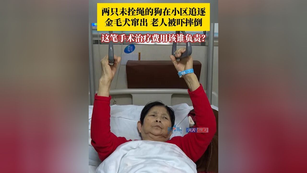 金毛犬与边牧犬未拴绳在小区追逐嬉戏,81岁老人路过花园时,金毛犬突然窜出,老人被吓摔倒致大腿骨折,这笔手术治疗费用该谁来出?