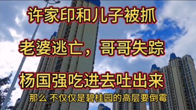 许家印和儿子被抓,老婆逃亡,哥哥失踪,杨国强吃进去吐出来