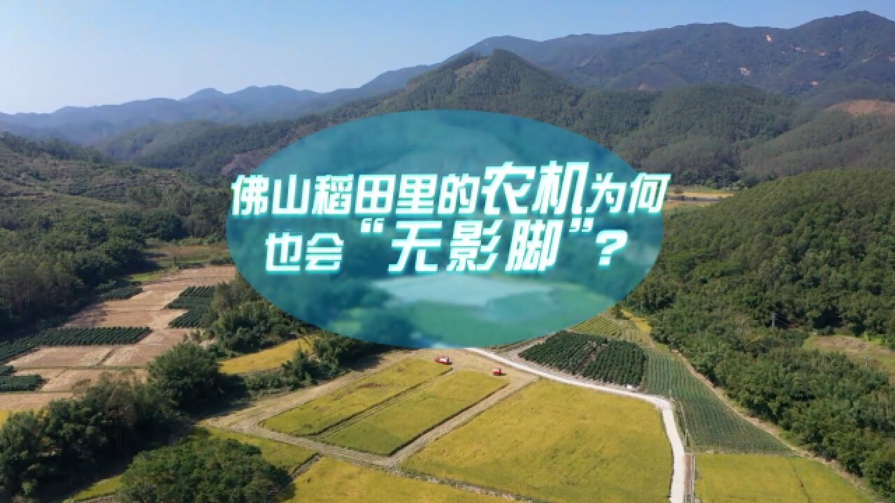 中国式现代化ⷩ’年的回答丨佛山稻田里的农机为何也会“无影脚”?