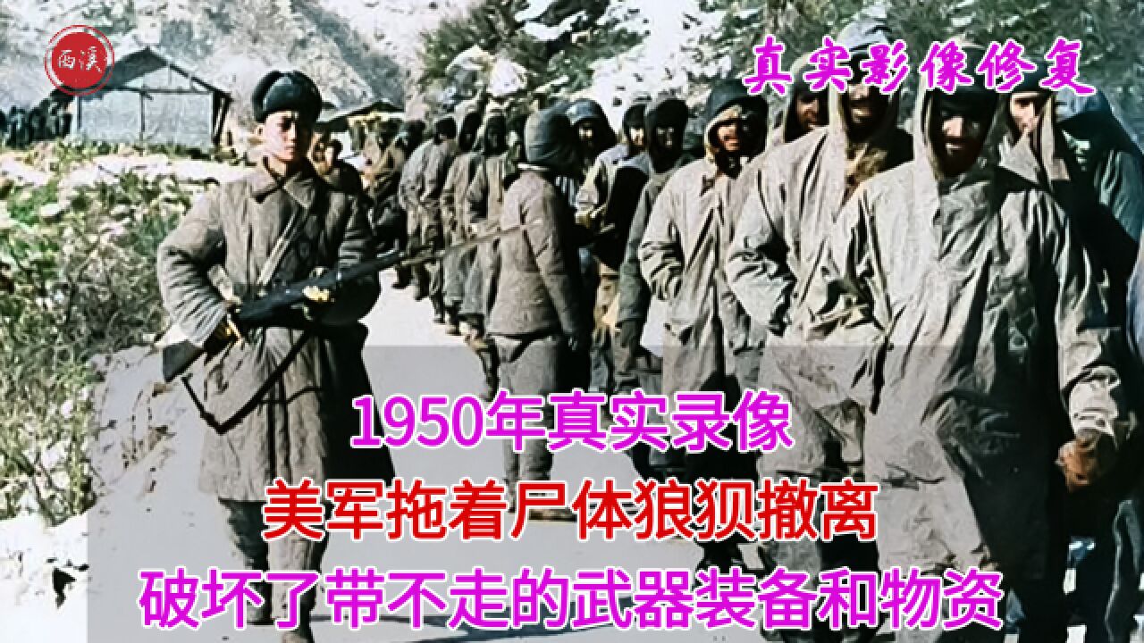 1950年真实录像,长津湖战败美军拖着尸体狼狈逃亡,并销毁大量武器装备