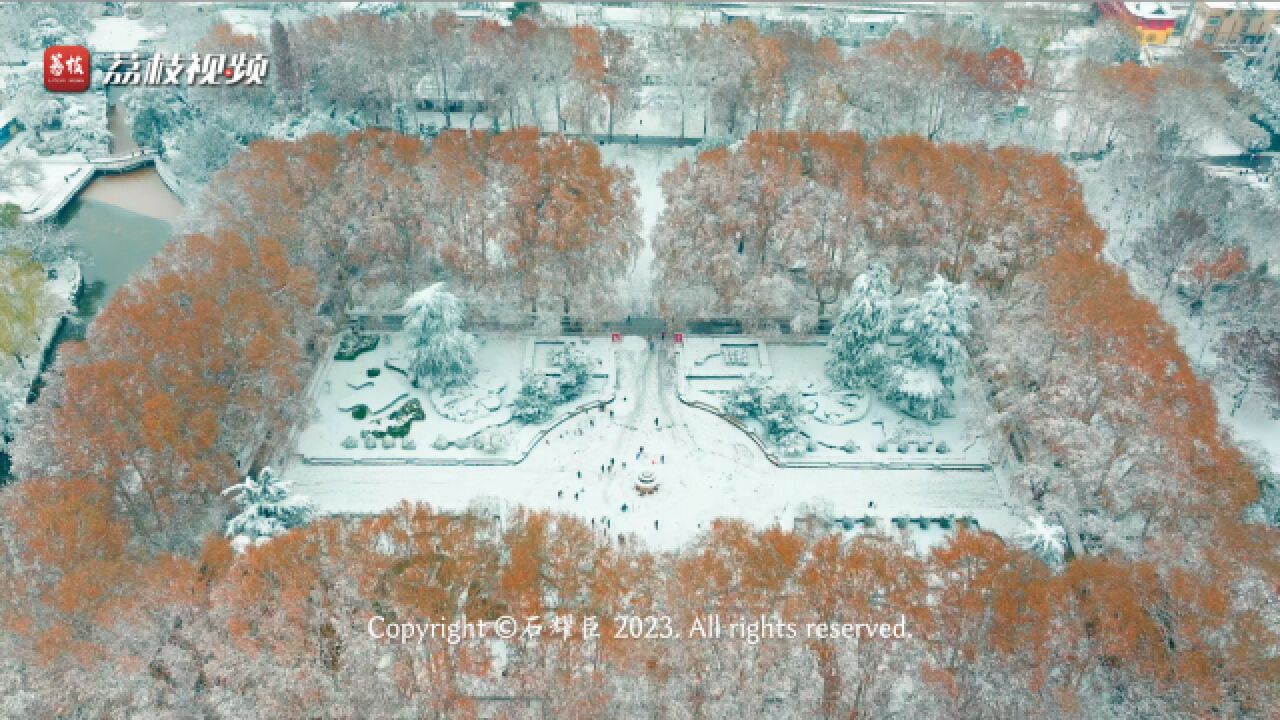 听雪落的声音!郑州落雪街头尽显冰雪气