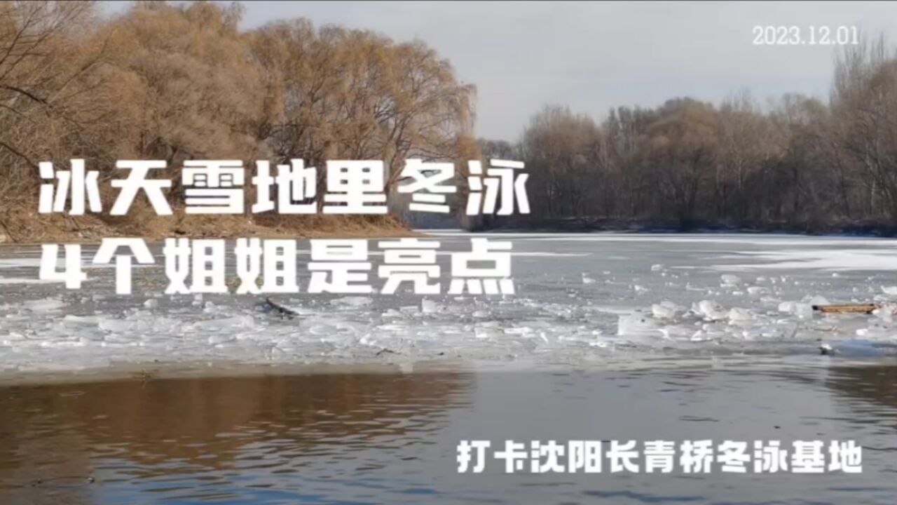 冰天雪地里冬泳,4个姐姐是亮点,沈阳长青桥冬泳基地你敢来吗?