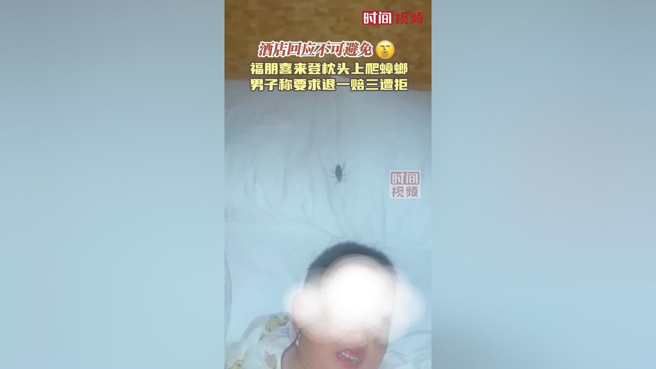 海南万宁福朋喜来登酒店枕头上爬蟑螂 男子称要求退一赔三遭拒