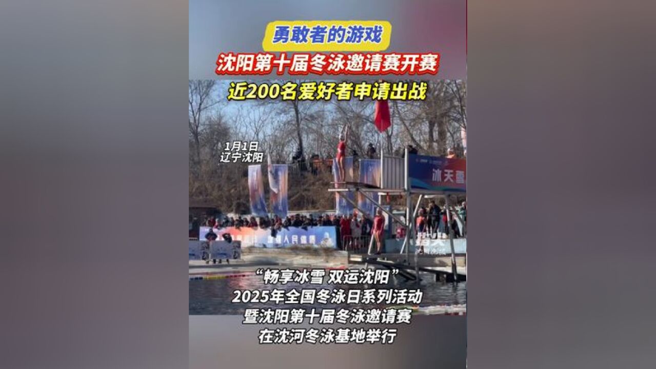 勇敢者的游戏!沈阳第十届冬泳邀请赛开赛,近200名爱好者申请出战