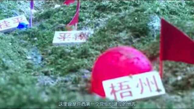 中共梧州市委党史研究室《永不凋谢的信仰之花》