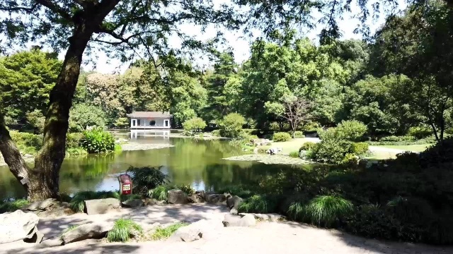 秋游好地方,杭州植物园少了几分浮华和喧嚣,多的是纯朴和孤寂!