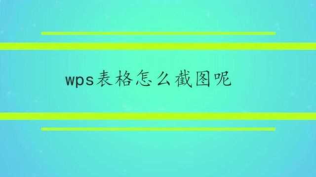 wps表格怎么截图呢