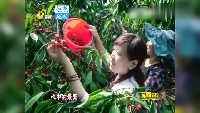 韩霞演唱《我的夏蔚》,歌声嘹亮动听,经典歌曲别错过