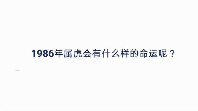 1986年属虎会有什么样的命运呢?