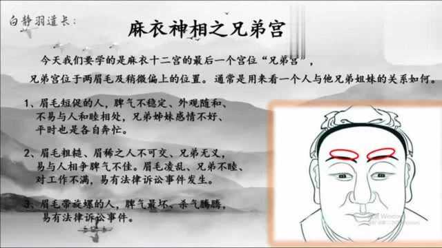 麻衣神相:千年流传的古老相面术,从眉毛看兄弟,道长教你看面相