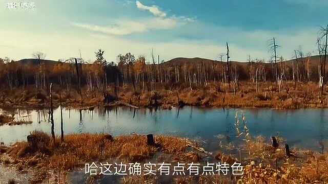 摩旅黑龙江大兴岭深入偶遇 魔界景区感受兴安岭另一面