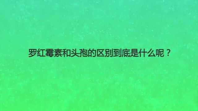 罗红霉素和头孢的区别到底是什么呢?