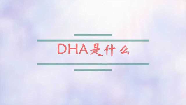 DHA是什么?