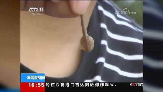 新疆昌吉发现“三眼恐龙虾”,历史比恐龙还要久远