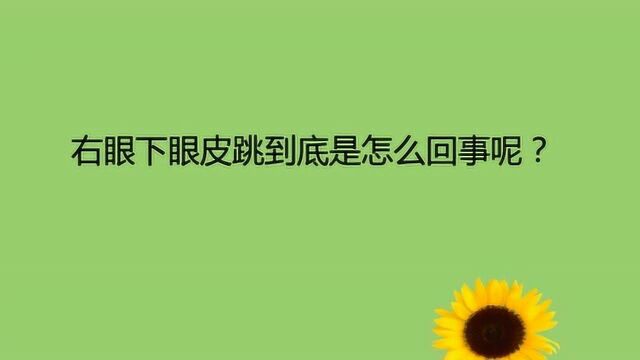 右眼下眼皮跳到底是怎么回事呢?