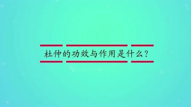 杜仲的功效与作用是什么?