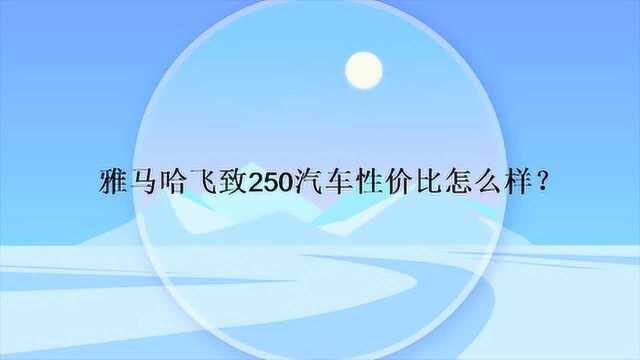 雅马哈飞致250汽车性价比怎么样?