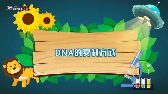 DNA的复制方式