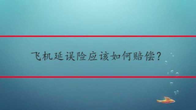 飞机延误险应该如何赔偿?