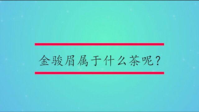 金骏眉属于什么茶呢?