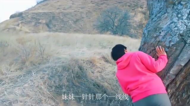 黄土情歌《挡不住的思念》演唱:李海江