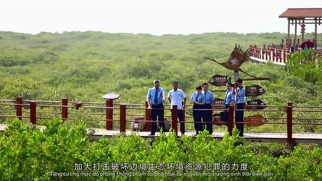 携手开创中越边境生态环境资源和食品安全新局面