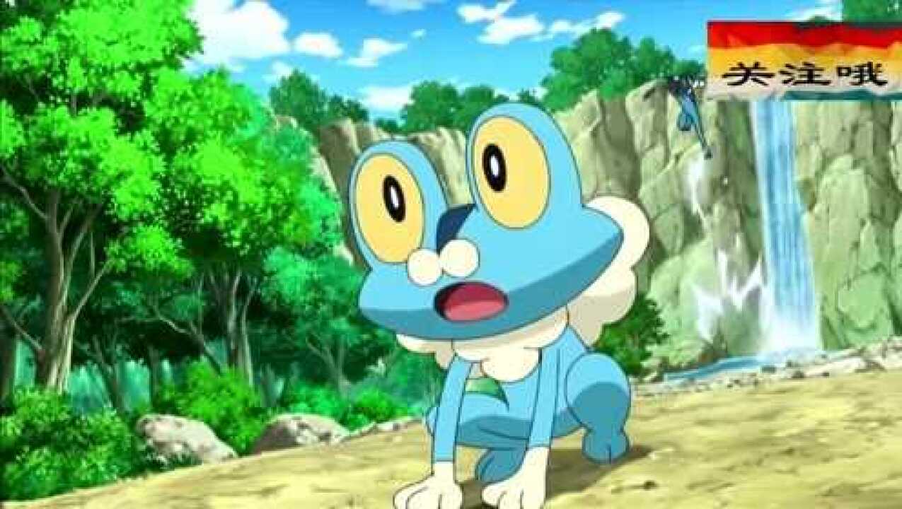 精灵宝可梦呱呱泡蛙vs呱头蛙力量上的不足由毅力来补足